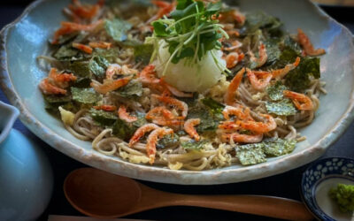 季節の蕎麦 おろし桜えび